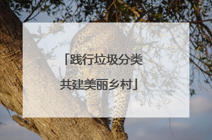 践行垃圾分类 共建美丽乡村