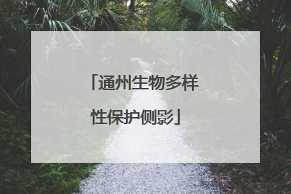 通州生物多样性保护侧影