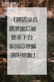 通话录音遭泄露后被要求下台 泰国总理佩通坦致歉