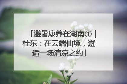 避暑康养在湖南①｜桂东：在云端仙境，邂逅一场清凉之约