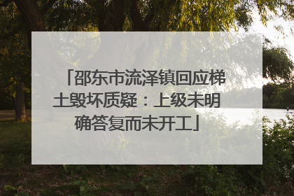 邵东市流泽镇回应梯土毁坏质疑：上级未明确答复而未开工