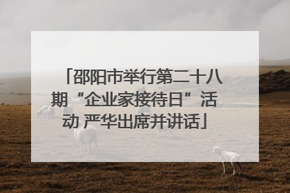 邵阳市举行第二十八期“企业家接待日”活动 严华出席并讲话