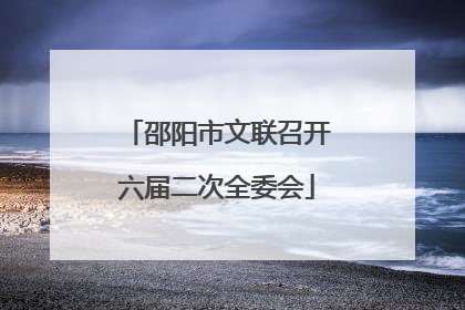邵阳市文联召开六届二次全委会