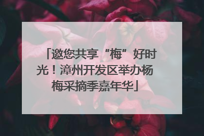 邀您共享“梅”好时光！漳州开发区举办杨梅采摘季嘉年华