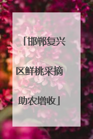 邯郸复兴区鲜桃采摘助农增收