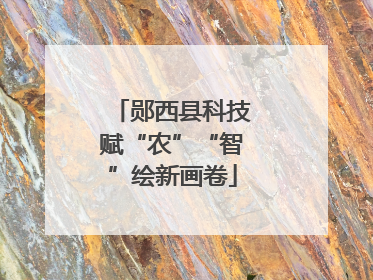 郧西县科技赋“农”“智”绘新画卷