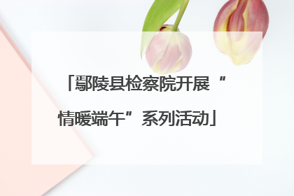 鄢陵县检察院开展“情暖端午”系列活动