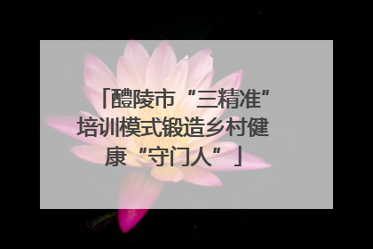 醴陵市“三精准”培训模式锻造乡村健康“守门人”