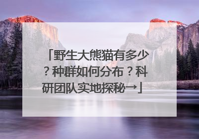 野生大熊猫有多少？种群如何分布？科研团队实地探秘→