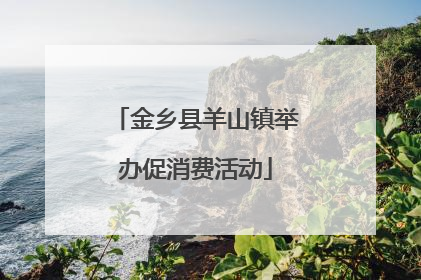 金乡县羊山镇举办促消费活动