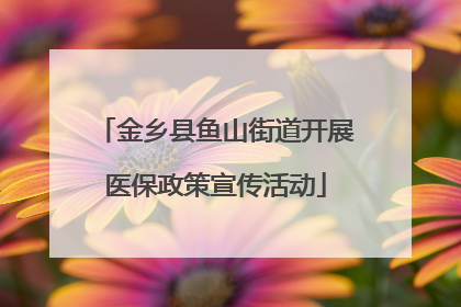 金乡县鱼山街道开展医保政策宣传活动