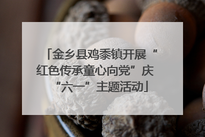 金乡县鸡黍镇开展“红色传承童心向党”庆“六一”主题活动