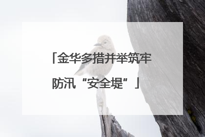金华多措并举筑牢防汛“安全堤”