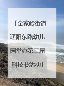 金家岭街道辽阳东路幼儿园举办第二届科技节活动