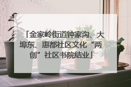 金家岭街道钟家沟、大埠东、惠都社区文化“两创”社区书院结业