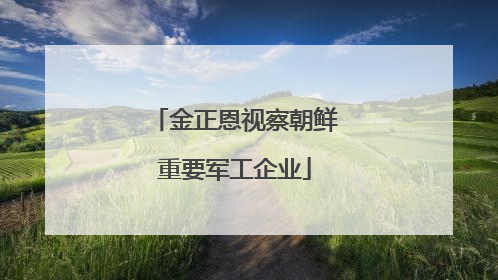 金正恩视察朝鲜重要军工企业