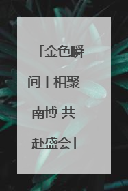 金色瞬间丨相聚南博 共赴盛会