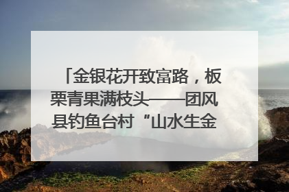 金银花开致富路，板栗青果满枝头——团风县钓鱼台村“山水生金”谱写共富新篇章