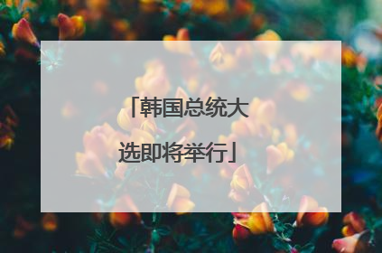 韩国总统大选即将举行