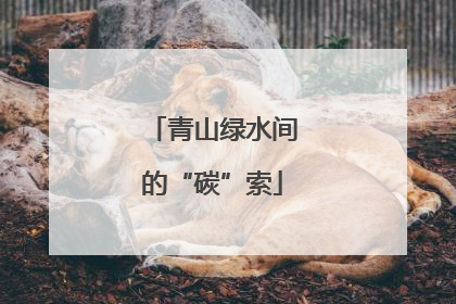 青山绿水间的“碳”索