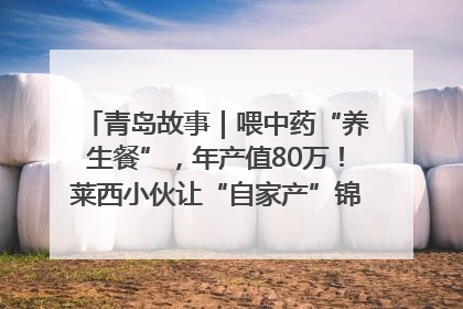青岛故事｜喂中药“养生餐”，年产值80万！莱西小伙让“自家产”锦鲤“游”向全国
