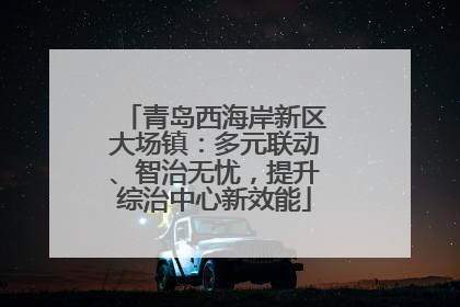 青岛西海岸新区大场镇：多元联动、智治无忧，提升综治中心新效能