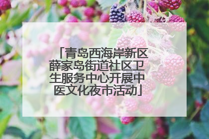 青岛西海岸新区薛家岛街道社区卫生服务中心开展中医文化夜市活动