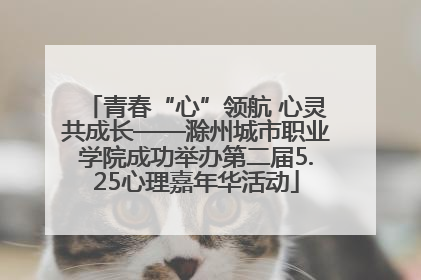 青春“心”领航 心灵共成长——滁州城市职业学院成功举办第二届5.25心理嘉年华活动