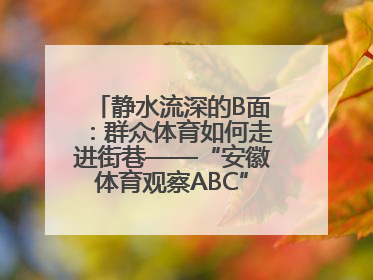 静水流深的B面：群众体育如何走进街巷——“安徽体育观察ABC”系列报道之二