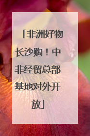 非洲好物长沙购！中非经贸总部基地对外开放