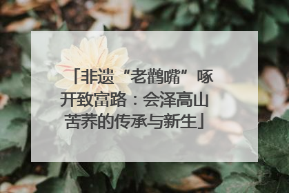 非遗“老鹳嘴”啄开致富路：会泽高山苦荞的传承与新生