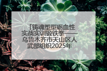 铸魂塑型砺血性 实战实训锻铁拳——乌鲁木齐市天山区人武部组织2025年度民兵集中轮训