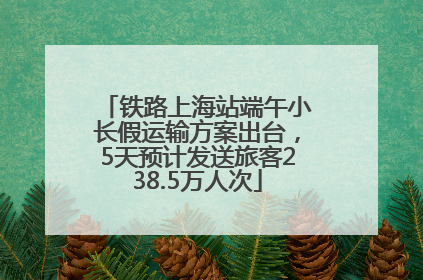 铁路上海站端午小长假运输方案出台，5天预计发送旅客238.5万人次