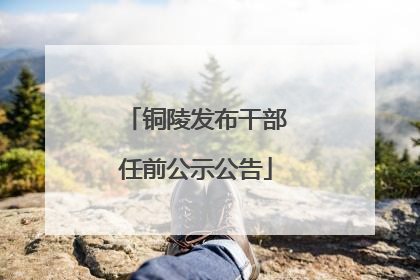 铜陵发布干部任前公示公告