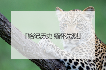 铭记历史 缅怀先烈