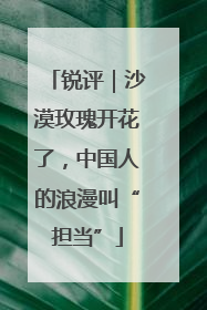 锐评｜沙漠玫瑰开花了，中国人的浪漫叫“担当”