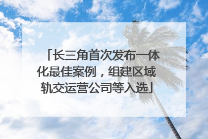 长三角首次发布一体化最佳案例，组建区域轨交运营公司等入选