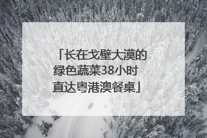 长在戈壁大漠的绿色蔬菜38小时直达粤港澳餐桌