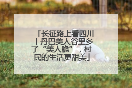 长征路上看四川丨丹巴美人谷里多了“美人脆”，村民的生活更甜美
