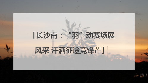 长沙南：“羽”动赛场展风采 汗洒征途竞锋芒