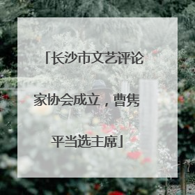 长沙市文艺评论家协会成立，曹隽平当选主席