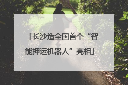 长沙造全国首个“智能押运机器人”亮相