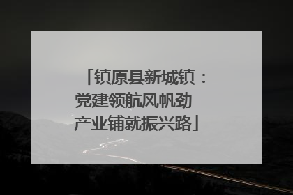 镇原县新城镇：党建领航风帆劲 产业铺就振兴路