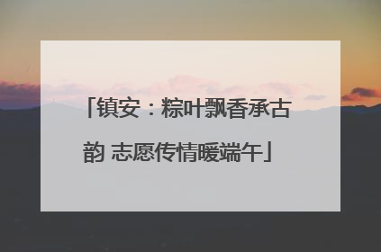 镇安：粽叶飘香承古韵 志愿传情暖端午