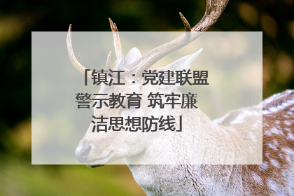 镇江：党建联盟警示教育 筑牢廉洁思想防线