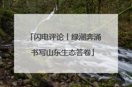 闪电评论丨绿潮奔涌 书写山东生态答卷