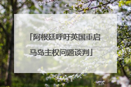 阿根廷呼吁英国重启马岛主权问题谈判