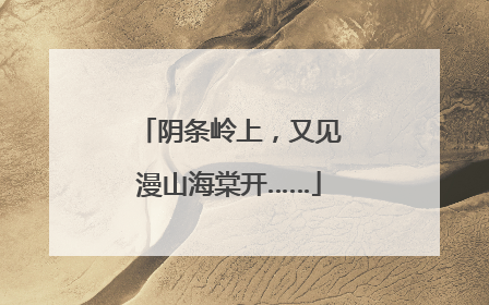 阴条岭上，又见漫山海棠开……