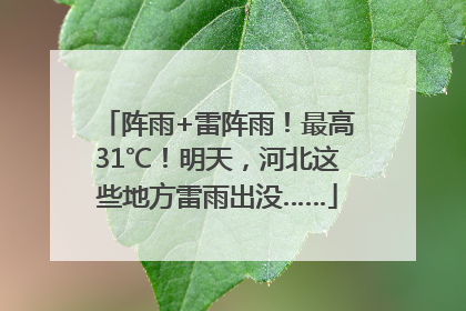 阵雨+雷阵雨！最高31℃！明天，河北这些地方雷雨出没……