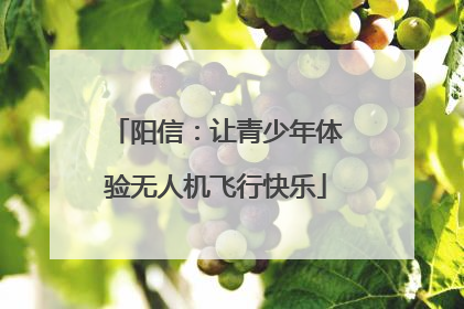 阳信：让青少年体验无人机飞行快乐